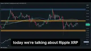 Ripple Ledger Blockchain Records Highest Activity Levels