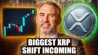 Ripple XRP News - XRP WARNING: 4 WEEKS UNTIL EVERYTHING CHANGES (MUST LISTEN)