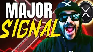 Ripple XRP Velocity SIGNAL Just Flashed  MAJOR XRP Warning ⚠️