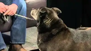 River Rescue Reunion