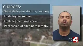 Riverview mayor facing sex crime charges