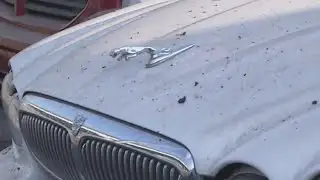 Road improvement project affecting small business