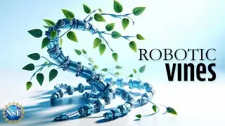 Robotic Plants Grow with Environment