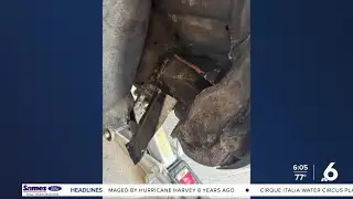 Robstown K9 sniffs out fentanyl in sedan pulled over on Highway 77