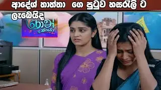 Ron Soyaa - රොන් සොයා | 254 | 2026-02-04    ආදේශ් තාත්තා ⁣ ගෙ පුටුව හසරැලි ට ලැබෙයිද