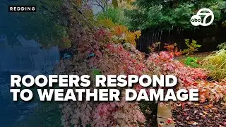 Roofers in high demand for stormy season with increased leak repairs