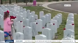 Rose-inspired campaign honors veterans