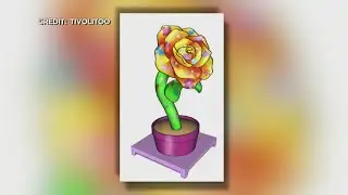 Roseville Seeks Artists To Help Town 