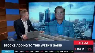 Ross Gerber On Dramatic A.I. Impact On Jobs & Tesla