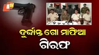 Rourkela Police Conduct Massive Raid, Arrest 4 Including Notorious Cow Mafia Leader
