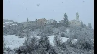 RTA Parmense News 04-02-26