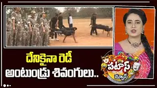 దేనికైనా రెడీ అంటుండ్రు శివంగులు | Rudra Team Police Special Force |Warangal | Patas News | 10tv