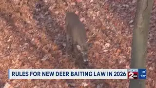 Rules for new deer baiting law in Tennessee in 2026