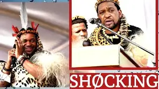 Rural Development Minister takes action against Ingonyama Trust Board