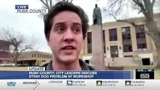 Rusk county, city leaders discuss stray dog problem at workshop