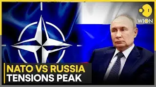 Russia-NATO: Mark Rutte Warns Russia of Devastating Consequences | WION