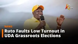 Ruto Faults Low Turnout in UDA Grassroots Elections