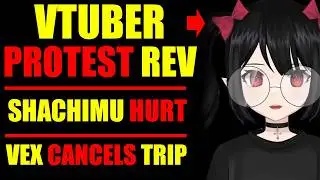 Saba x Mint COLLAB! Shachimu INJURED, Period TRACKER! Rev Gets BIG HATE! Vex Cancels USA Trips