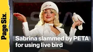 Sabrina Carpenter slammed by PETA for using live bird in Grammys performance