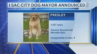 Sac City Dog Mayor Announced