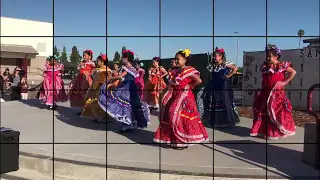 SAC PawCast News 5-5-17