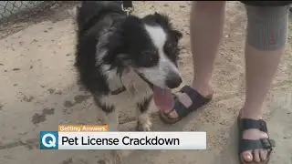 Sacramento Changes Lead To More Licensed Pets