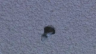 Sacramento police investigating 2nd deadly shooting in just 2 days