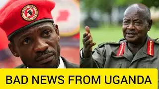 SAD NEWS 😔 BOBI WINE SITUATION GETTING WORSE