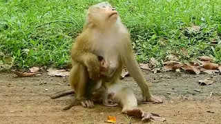 Sad News! Poor mom Rose keep looking for baby Rainbow, She has no hope to see daughter Rainbow again