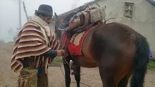 Saddling Up the World - Coming Soon