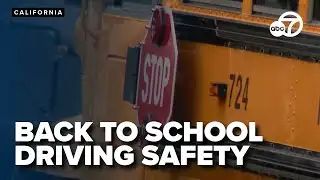 Safe driving practices essential as students head back to school, experts advise