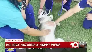 SAFETY ALERT: Holiday Hazards & Happy Paws