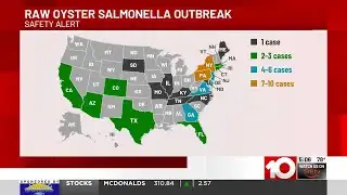 SAFETY ALERT: Salmonella outbreak linked to raw oysters reported in Georgia