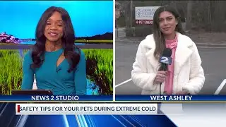 Safety tips for your pets during extreme cold