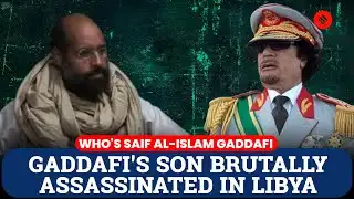 Saif al-Islam Gaddafi Killed in Libya | Gaddafi