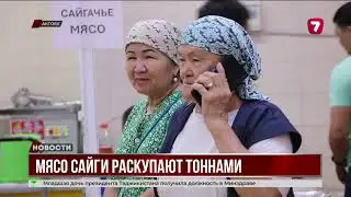 Saiga meat is selling out in Aktobe