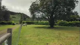 Sam Choy’s in the Kitchen: Holidays with the Parish’s