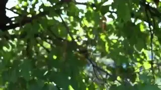 Samsung Galaxy NX Sample Video 2.mp4