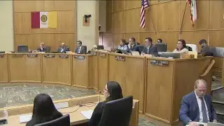 San Diego City Council passes resolution opposing aggressive tactics from ICE