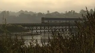 SANDAG starting environmental work at Batiquitos Lagoon ahead of rail project