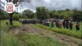 SANDF intercepts 1,174 undocumented migrants in Limpopo