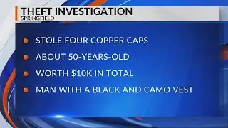 Sangamon, Menard Co. Crime Stoppers seeking tips on Springfield theft