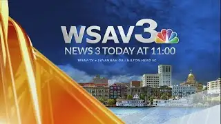 Sarah WSAV News 3 Today 3 27 2025