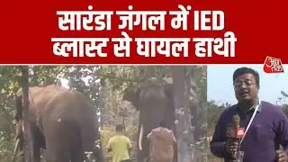 Saranda जंगल में Naxals से मुठभेड़ के दौरान IED Blast, Elephant घायल, Vanatara की टीम कर रही इलाज