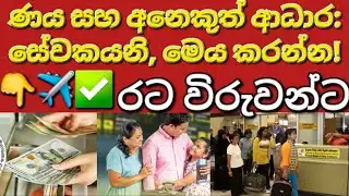 🇰🇼📢🧳ඔයාල තානාපති කාර්යාලයට ගිහින් බීරෝ ගෙවන්න #sarfanbavlog #kuwaitsinhalanews #srilankabreakingnews