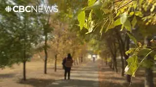 Sask. NDP calls for lower tuition fees for post-secondary students
