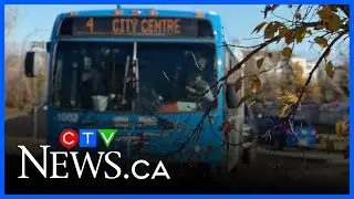 Saskatoon considers creating transit police