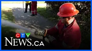 Saskatoon firefighters learn wildfire response