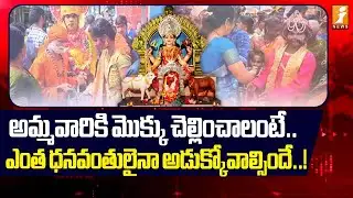 అమ్మవారికి మొక్కు చెల్లించాలంటే.. | Sattemma Thalli Jathara: A Grand Spiritual Gathering | iNews
