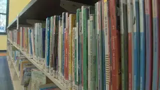 Savannah-Chatham school leaders outline second semester plans